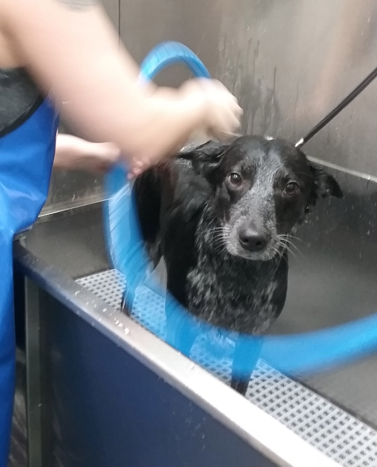 Rinse & Refresh