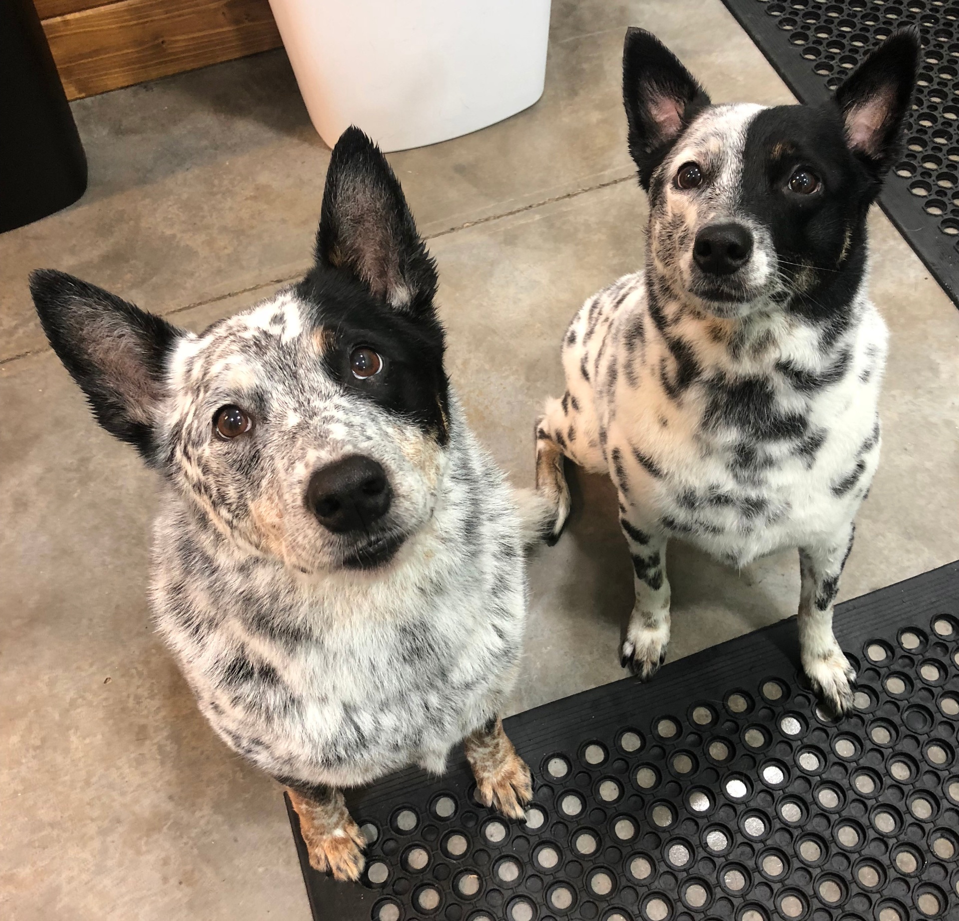 Happy Customers