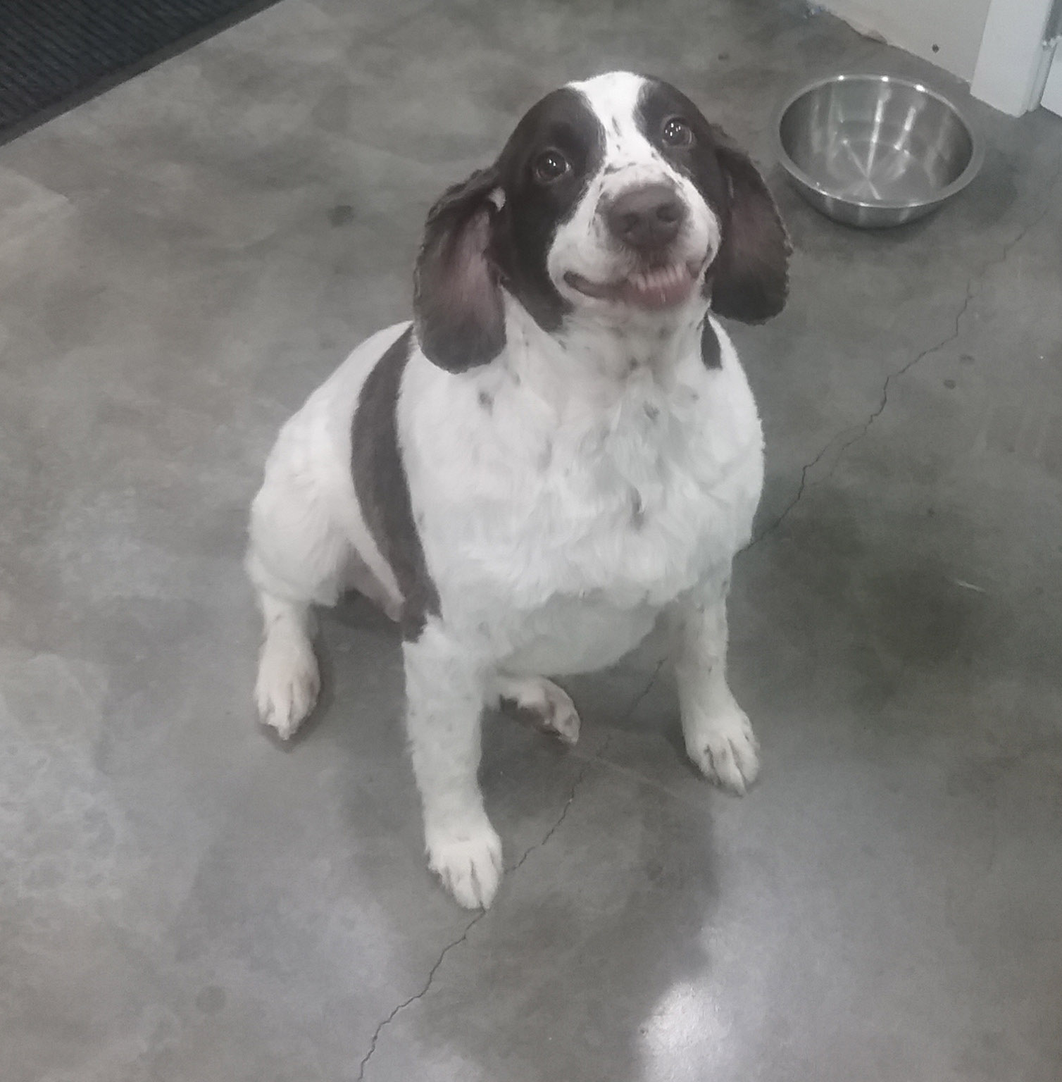 Happy After Bath