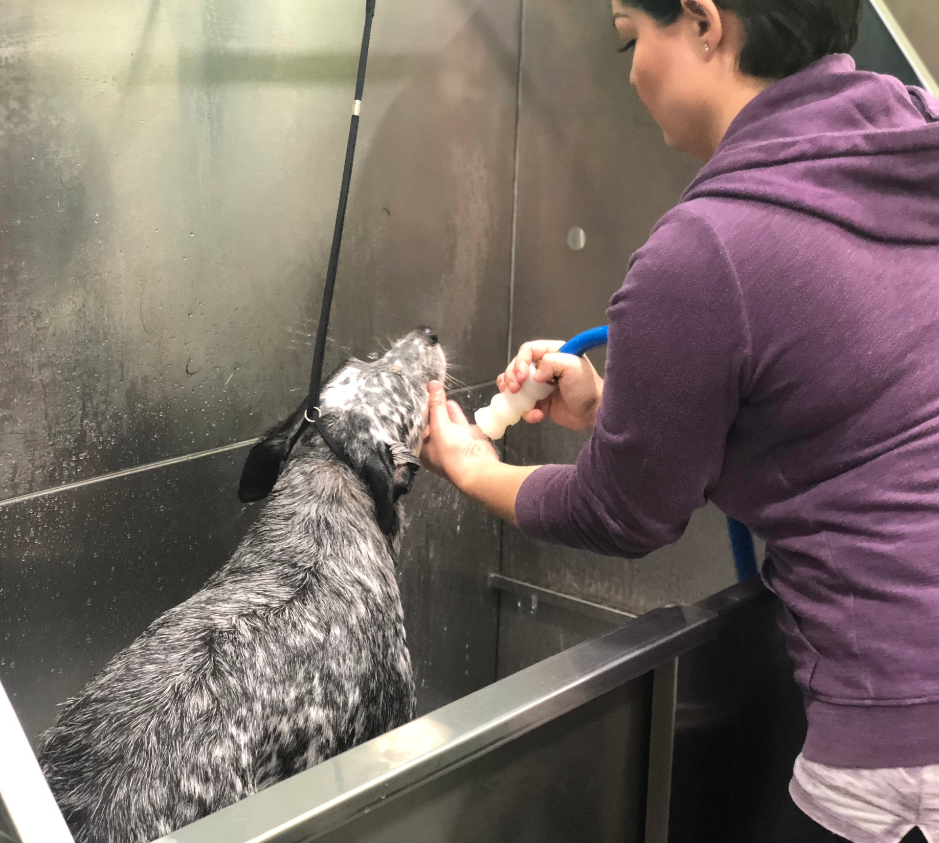 Self-Service Wash Station