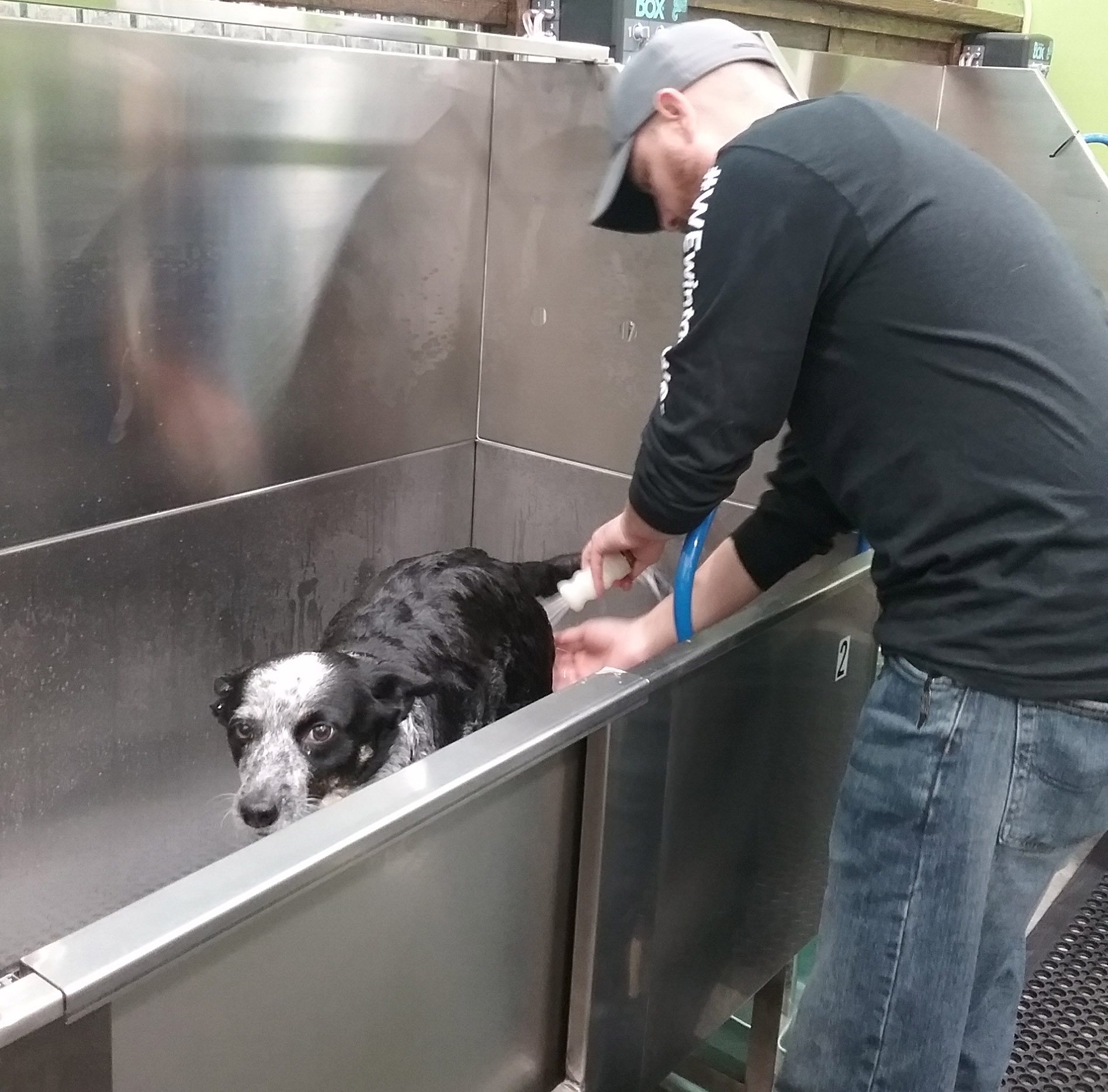 DIY Bathing in Action